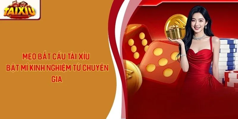 Mẹo Bắt Cầu Tài Xỉu - Bật Mí Kinh Nghiệm Từ Chuyên Gia